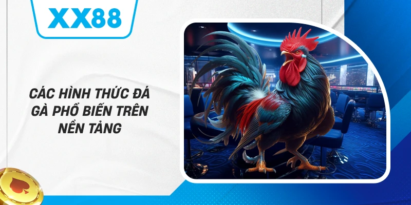 Các Hình Thức Đá Gà Phổ Biến Trên Nền Tảng