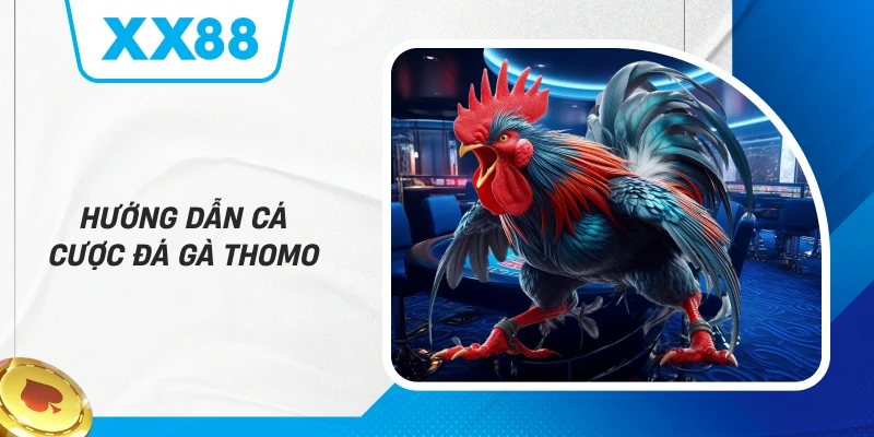 Hướng dẫn cá cược Đá Gà Thomo